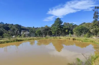 Chácara / sítio à venda em Mineiros, Balsa Nova 