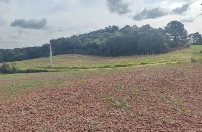 Chácara a venda no bairro colônia cristina - em araucária/pr