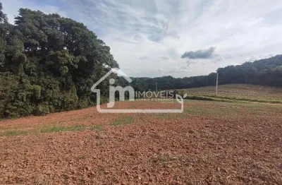 Chácara / sítio à venda em Colônia Cristina, Araucária 