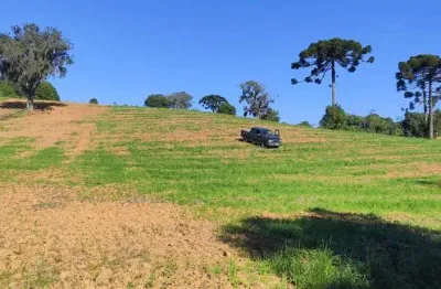Chácara a venda no bairro colônia cristina - em araucária/pr
