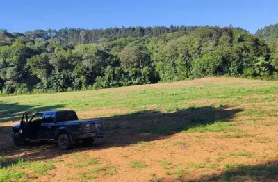Chácara / sítio à venda no Rio Verde de Cima, Araucária 
