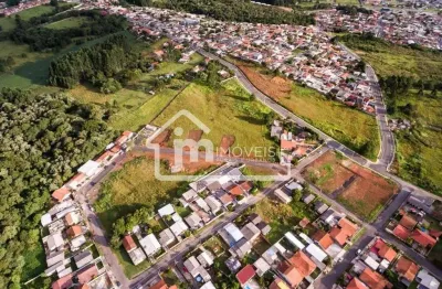 Terreno à venda na Rua Beija-flor, S/N, Jardim Lise, Campo Largo