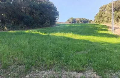 Chácara à venda em araucária/pr - no bairro colônia cristina