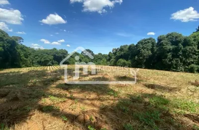 Terreno à venda na Rondinha, Campo Largo 