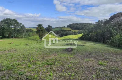 Chácara / sítio à venda na Colônia Balbino Cunha, Campo Largo 
