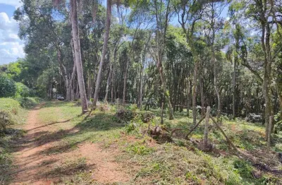Chácara a venda no bairro colônia balbino cunha - em campo largo/pr