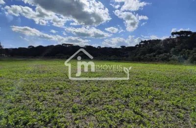 Chácara / sítio à venda no Rodeiozinho, Balsa Nova 