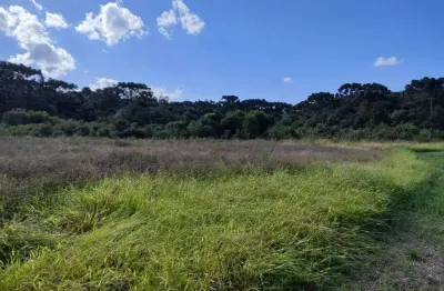 Chácara a venda no bairro rodeiozinho - em balsa nova/pr