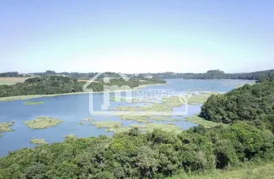 Chácara para Venda em Campo Largo, Jardim Florestal, 1 banheiro, 5 vagas