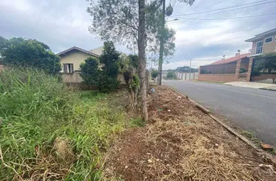 Terreno urbano a venda no bairro são caetano - em balsa nova/pr