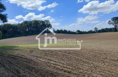 Chácara / sítio à venda no Ipiranga, Araucária 