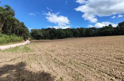 Chácara / sítio à venda no Ipiranga, Araucária 