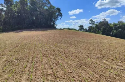 Chácara a venda no bairro ipiranga - em araucária/pr
