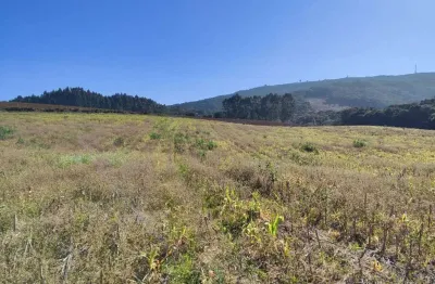 Chácara / sítio com 2 quartos à venda no Bugre, Balsa Nova 
