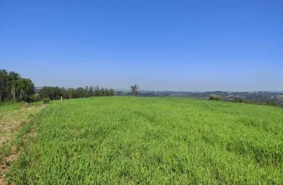 Terreno à venda no bairro rodeio santo antônio – em balsa nova/pr