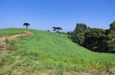 Terreno à venda na estrada do mato chiqueiro – em balsa nova/pr