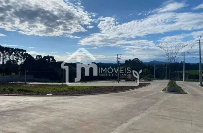 Terrenos à venda no reserva floresta do lago em campo largo/paraná.