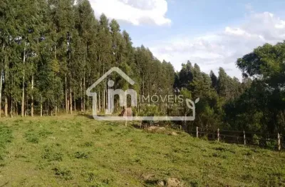 Casa à venda em Três Córregos, Campo Largo 