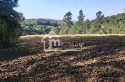 Chácara a venda no bairro colônia balbino cunha - em campo largo/pr