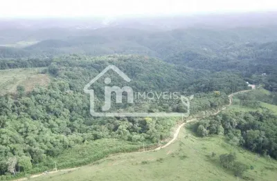 Terreno para formação de chácaras à venda na estrada da ribeira – campo largo/pr