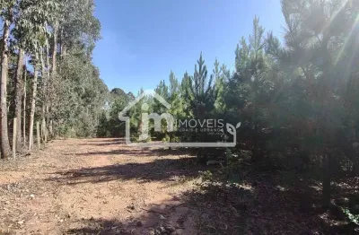 Casa à venda no Bateias, Campo Largo 
