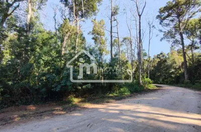 Casa à venda no Ipiranga, Araucária 