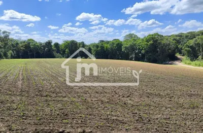Casa à venda no Ipiranga, Araucária 