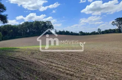 Casa à venda no Ipiranga, Araucária 