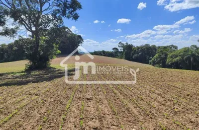 Casa à venda no Ipiranga, Araucária 