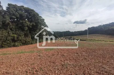 Chácara a venda no bairro colônia cristina - em araucária/pr