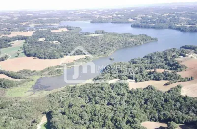 Chácara à venda em araucária/pr - no bairro colônia cristina