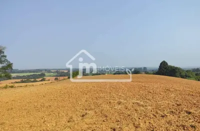 Casa com 3 quartos à venda no Serrinha, Contenda 