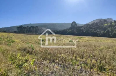 Casa com 2 quartos à venda no Bugre, Balsa Nova 