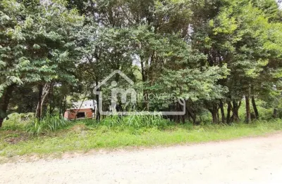 Terreno à venda no São Caetano, Balsa Nova 