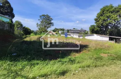 Terreno à venda no Conjunto Habitacional Partenope, Campo Largo 