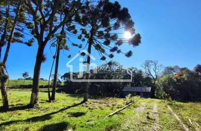 Terreno industrial para venda no bairro são caetano - em balsa nova/pr