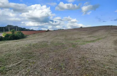 Chácara a venda no bairro roça velha - em araucária/pr