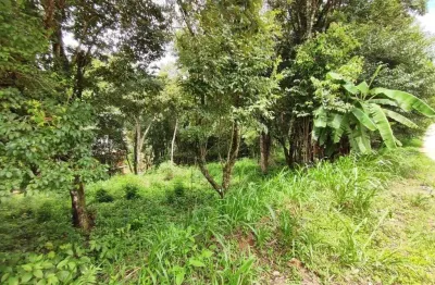 Terreno a venda no bairro são caetano - balsa nova/pr