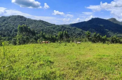 Chácara a venda no bairro retiro - em campo largo/pr
