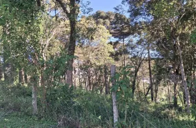 Terreno à venda em condomínio no bairro moradias bom jesus - campo largo/pr