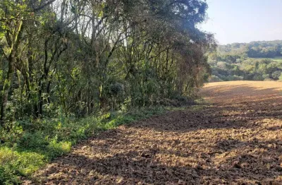 Chácara a venda no bairro colônia balbino cunha - em campo largo/pr
