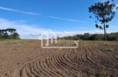 Casa à venda no Rio Verde de Cima, Araucária 
