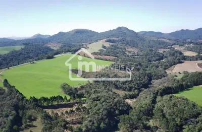 Fazenda para Venda em Campo Largo, Bateias, 2 dormitórios, 1 banheiro