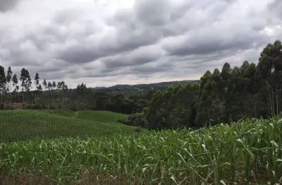 Chácara / sítio à venda no Rodeio Santo Antônio, Balsa Nova 