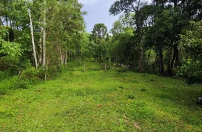 Chácara à venda no bairro campina do bicudo - em  balsa nova/pr