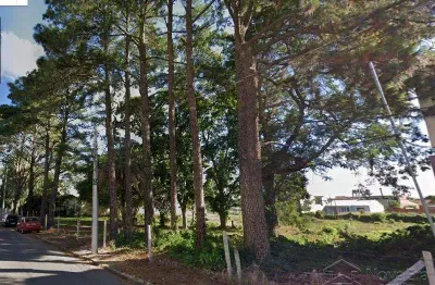Terreno comercial à venda na R Prf Heitor Da G Fernandes, 649, Camobi, Santa Maria