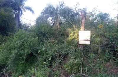 Terreno comercial à venda na Rua das Marcelas, 757, Chácara das Flores, Santa Maria