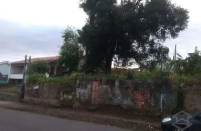 Terreno comercial à venda na R Ary L Domingues, 7, Nossa Senhora do Perpétuo Socorro, Santa Maria