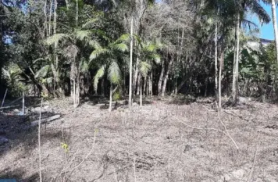 Terreno comercial à venda no Nereu Ramos, Jaraguá do Sul  por R$ 620.000