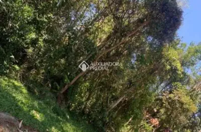 Terreno à venda na estrdada geral do ouvidor, 234, campo duna, garopaba, 500 m2 por r$ 695.000